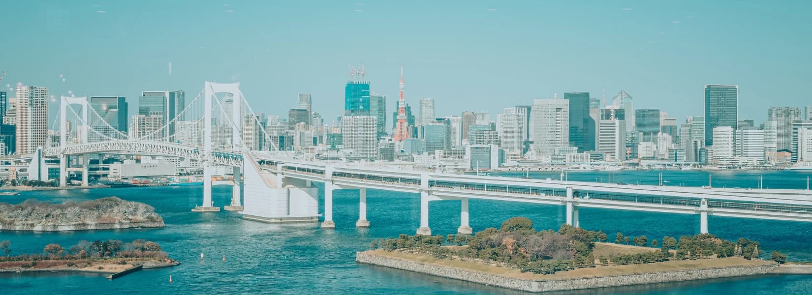 会社概要/役員紹介