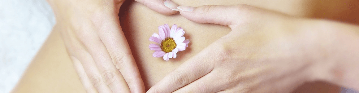 体質改善プログラム