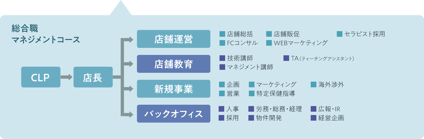 総合職マネジメントコース